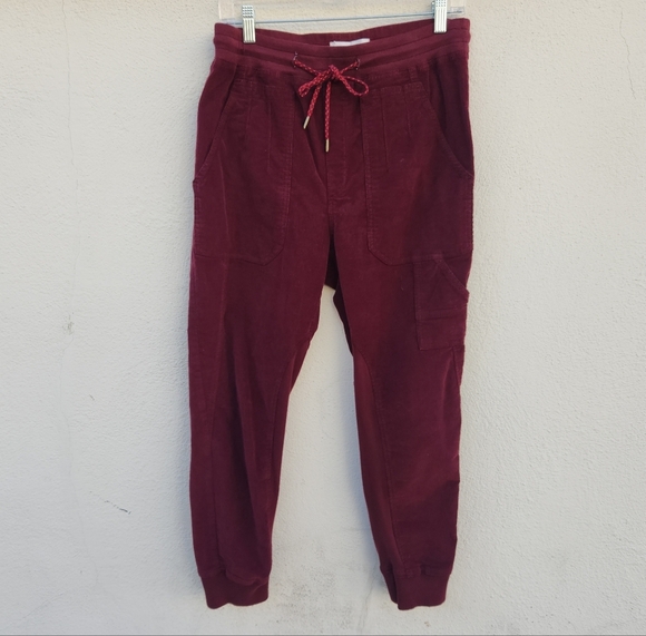 Anthropologie Leigh Corduroy Joggers - Picture 2 of 8